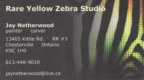 Rare Yellow Zebra Studio